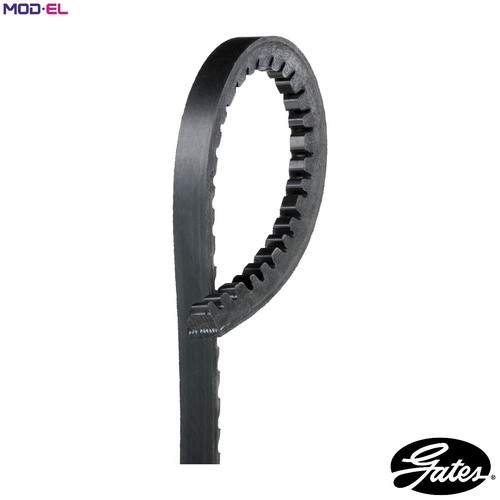 Vbelt avx13x888hd for iveco - avx13x888hd,