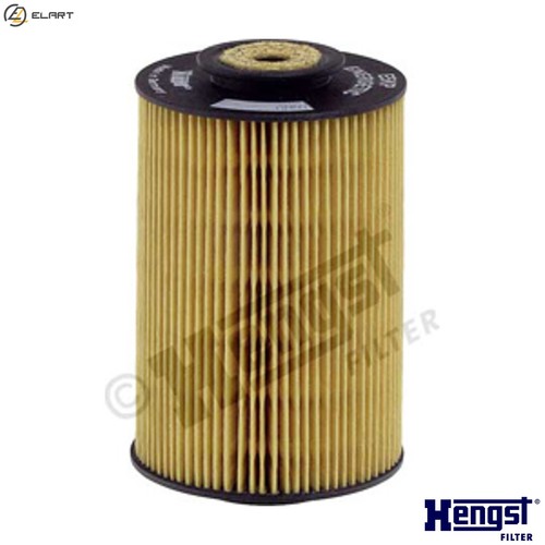 Fuel filter e5kp d12 - fuel, for