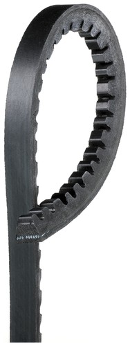 Avx10x1300hd gates belt for - gates,