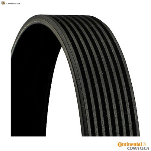 Ribbed belt 8pk1435 - v-ribbed,