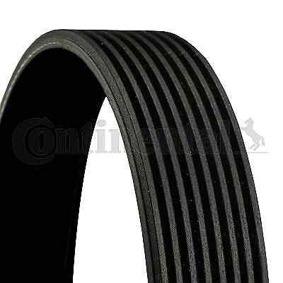 Ribbed belt 1658119 3911568 - v-ribbed,
